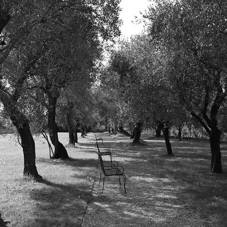 Ξενοδοχείο Ca' Sette Μπασάνο Ντελ Γκράπα