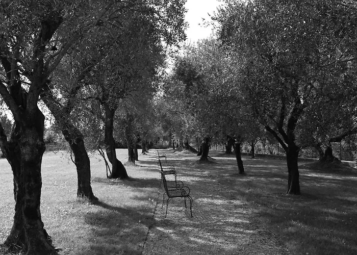 Szálloda Ca' Sette Bassano del Grappa